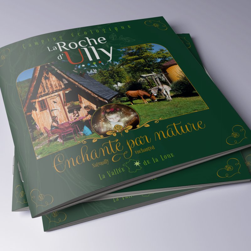 print couv  la roche d ully